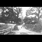 thumbnail The Portway which led to the wharf at Nunn Mills on the River Nene, photo dating from the early 20th century