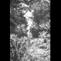 thumbnail Probably the bottom of The Portway sunken lane section, in the 1970s